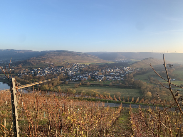 Ein malerischer Ausblick auf das Rheintal von einem Hügel, mit grünem Laub, Häusern und einer Brücke, die den Fluss überspannt, vor einem blauen Himmel.