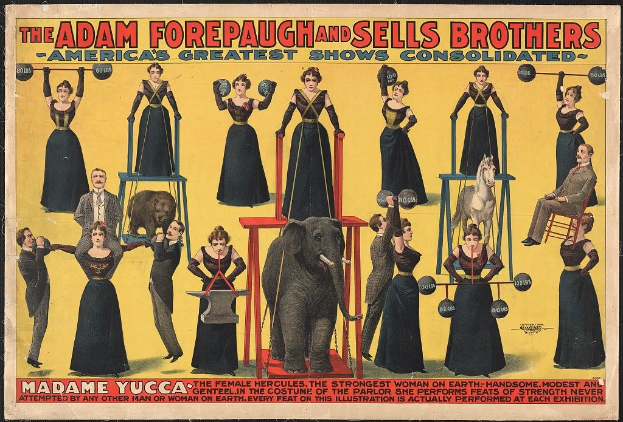 Plakat für Adam Forepaugh und Sells Brothers' America's Greatest Shows Consolidated mit einer Gruppe von Menschen auf Hockern und einem Elefanten in der Mitte sowie Werbetext.