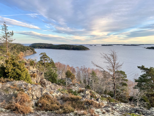 Atemberaubender Ausblick von einem Hügel auf einen See, mit Bäumen, Pflanzen und Felsen im Vordergrund und einer bewölkten Himmel im Hintergrund.
