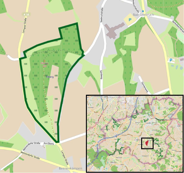 Ein detaillierter Stadtplan, der einen zentralen grünen Bereich als vorgeschlagenen Entwicklungsstandort markiert, mit umgebenen Straßen, Gebäuden und Sehenswürdigkeiten.