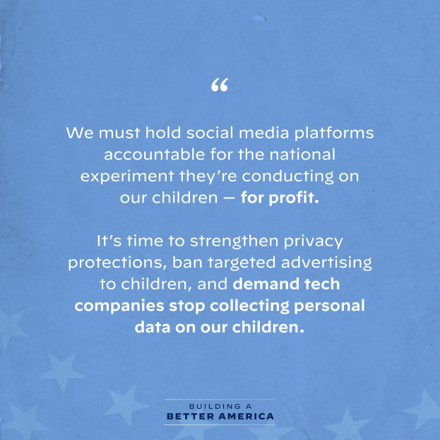 Plakat mit einem Zitat aus Building a Better America, das besagt: "Wir müssen die sozialen Medien-Plattformen für das nationale Experiment zur Rechenschaft ziehen, das sie an unseren Kindern durchführen - für Profit.", dekoriert mit Sternen.