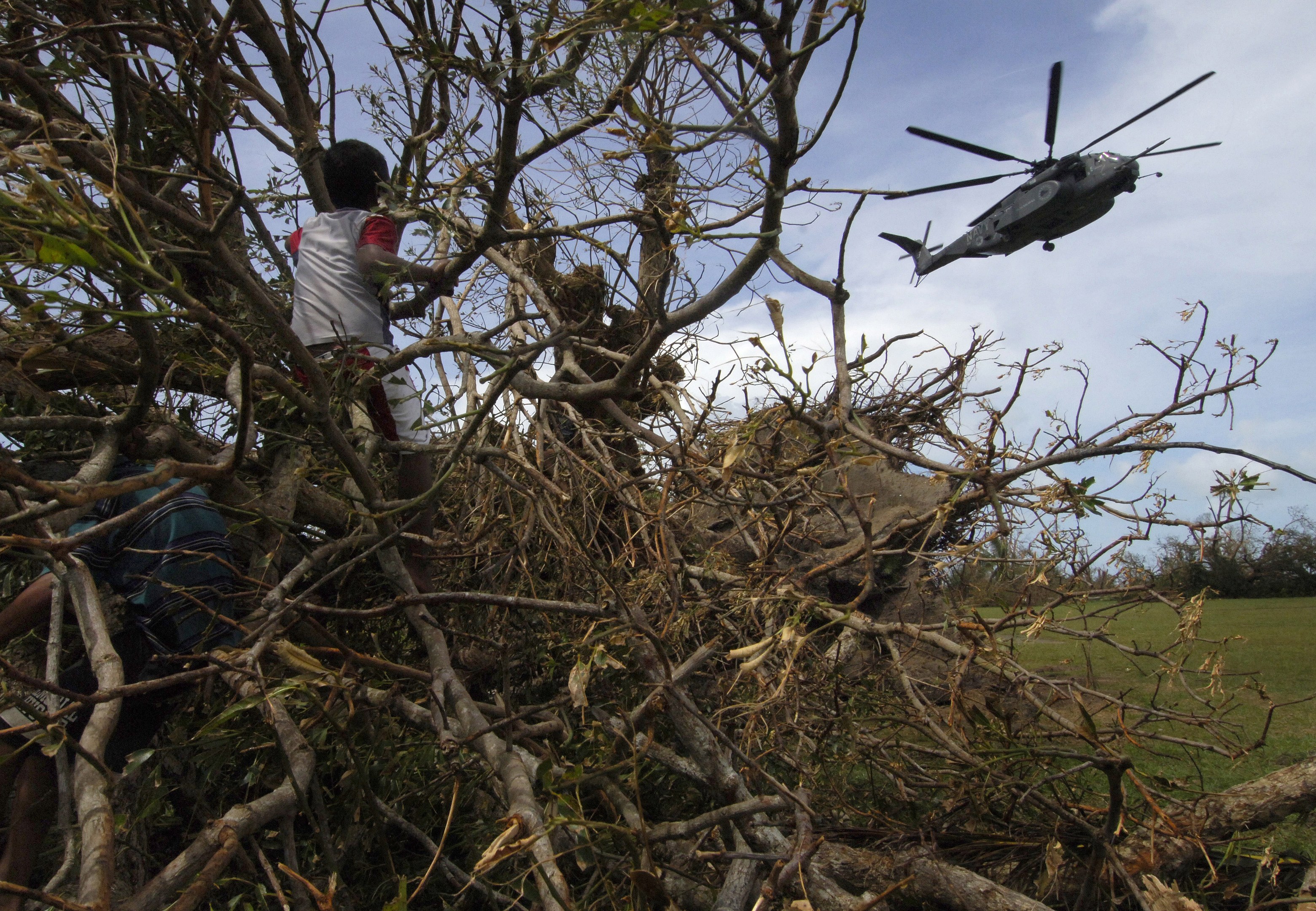Ein grüner Hubschrauber mit einem Baum, der quer darüber liegt, zwei Personen in der Nähe, auf einer grünen Fläche mit anderen Bäumen und Wolken am Himmel.