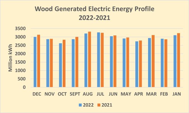 Liniengraph, der die Holz-generierte elektrische Energieausgabe von 2021 bis 2022 zeigt, mit begleitendem Erläuterungstext.