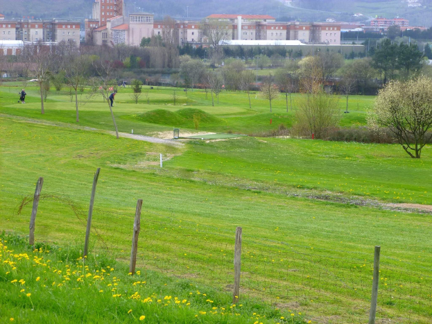 Ein Golfplatz mit grünem Gras, hohen Bäumen, gelben Blumen im Vordergrund, Gebäuden im Hintergrund und Menschen, die Golf unter einem klaren blauen Himmel spielen.