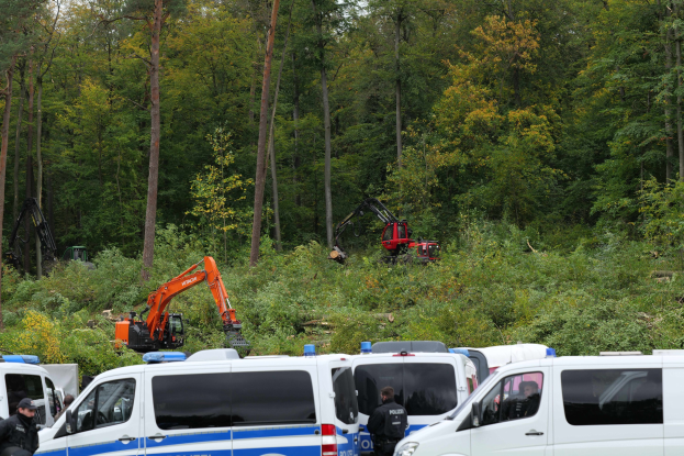 Eine Gruppe von Polizeiwagen in einem waldigen Gebiet geparkt, mit Officers und anderen in der Nähe, ein Bagger im Hintergrund und Bäume und Himmel öber ihnen.